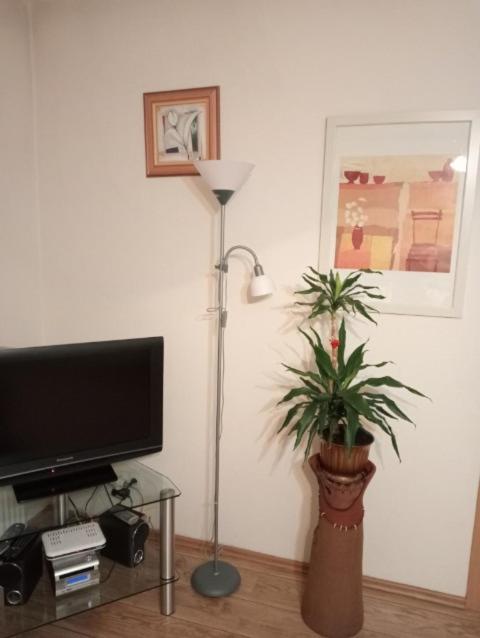 Apartament Stroma 4 Zakopane Exterior foto